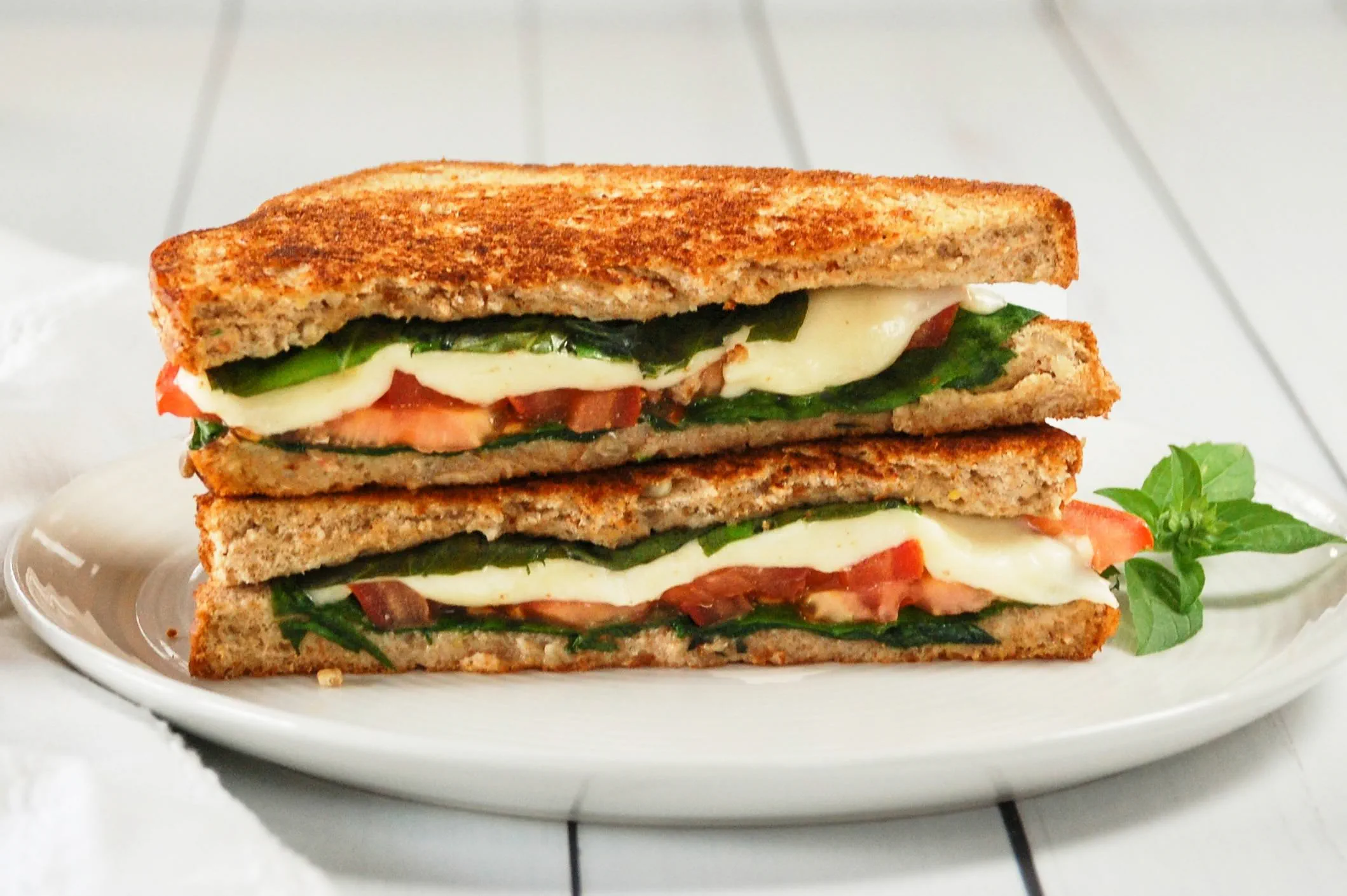 Grilled vegetable mozzarella sandwiches for beach lunch